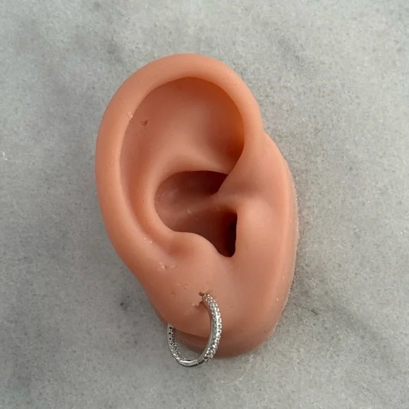 Sterling Silver All Around Crystal Hoop Earrings
Brand New - Picture 1 of 4